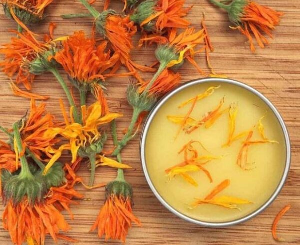 Calendula Salve