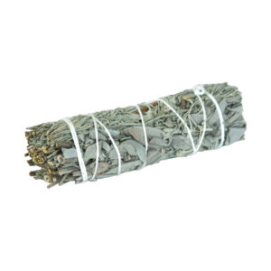 Sage Smudge Stick – Purify, Protect, and Reset Your Space